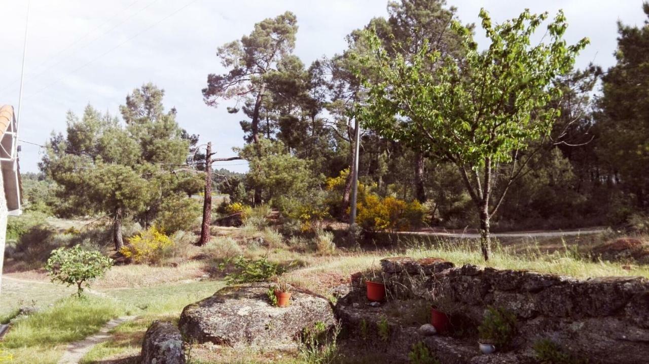 Casa De Malhoes Vilares Eksteriør billede